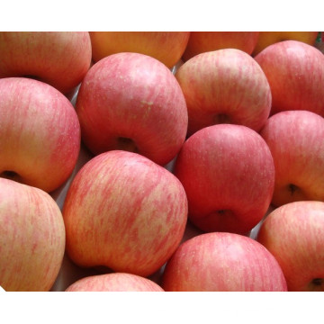 2016 Colheita Fresca FUJI Apple